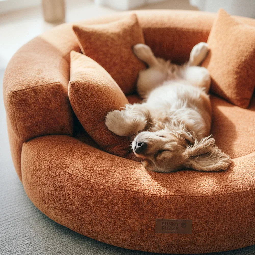 PAWHAVEN – Orthopedic Pet Bed for Cozy Everyday Comfort