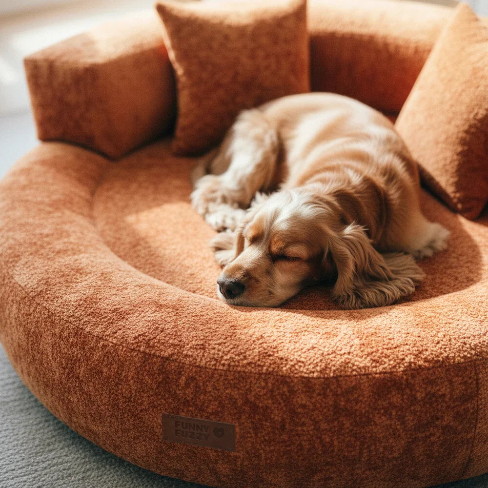 PAWHAVEN – Orthopedic Pet Bed for Cozy Everyday Comfort