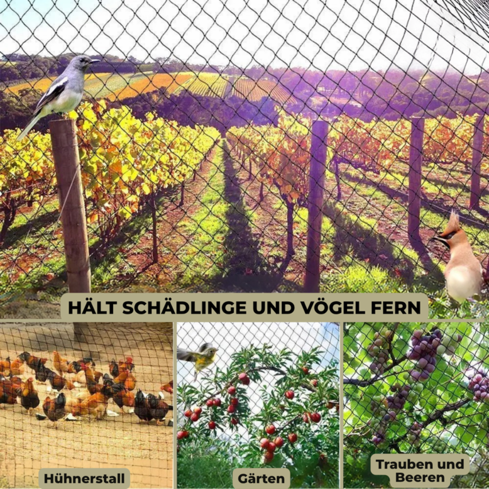 PLANTGUARD – Garden Protection Net for Healthy Plant Growth