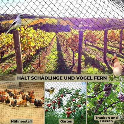 PLANTGUARD – Garden Protection Net for Healthy Plant Growth