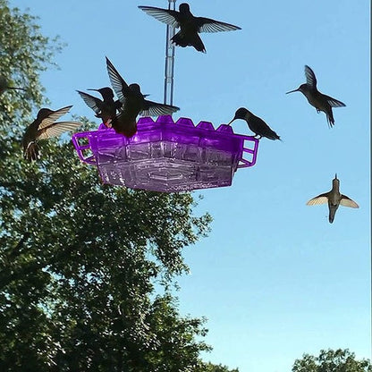 BLOOMHIVE – Ant-Proof Hummingbird Feeder with 30 Flower-Inspired Feeding Ports