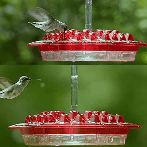 BLOOMHIVE – Ant-Proof Hummingbird Feeder with 30 Flower-Inspired Feeding Ports