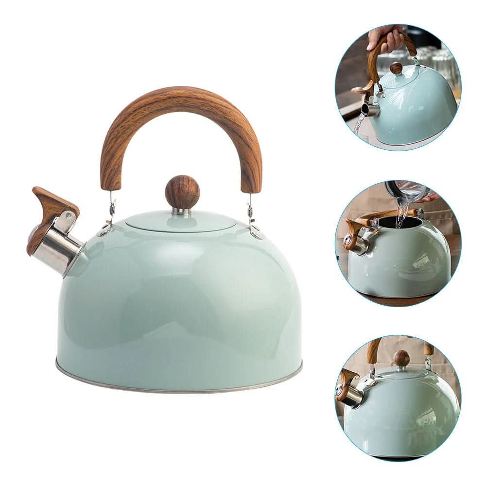 STEELWHISTLE – Classic 3L kettle with elegant design