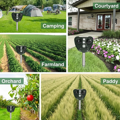 BIRDSHIELD – Solar Ultrasonic Bird Repellent for Garden Protection
