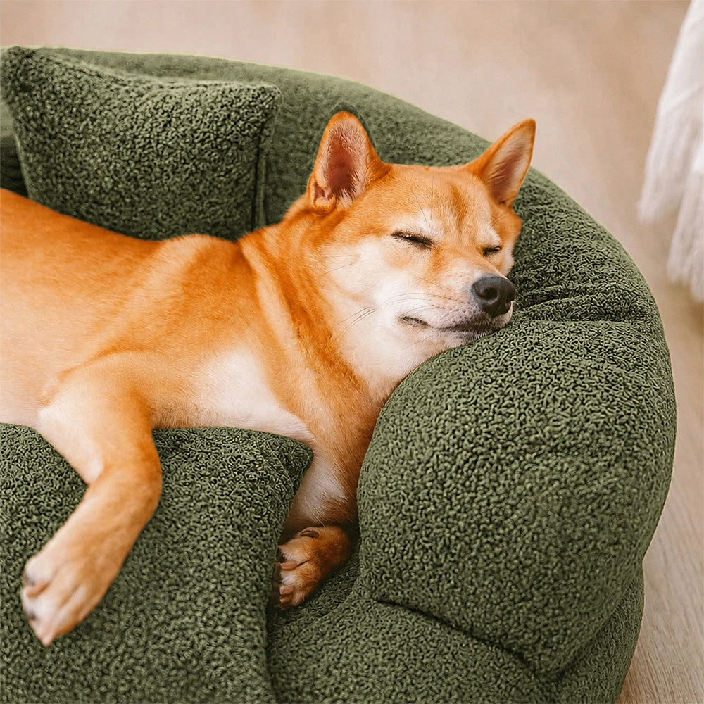 PAWHAVEN – Orthopedic Pet Bed for Cozy Everyday Comfort