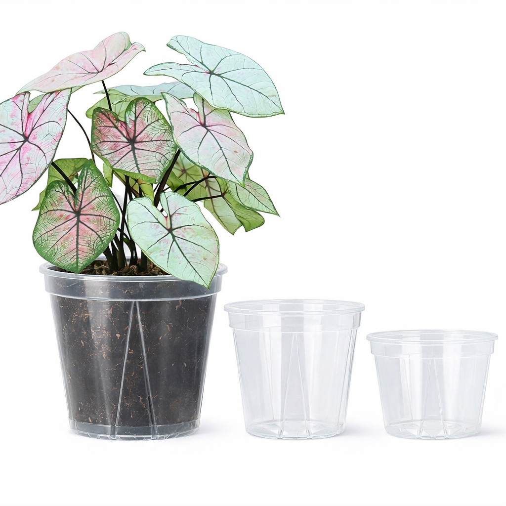 ClearSprout - Transparent Plant Pots with Drainage for Healthy Growth & Root Monitoring 0