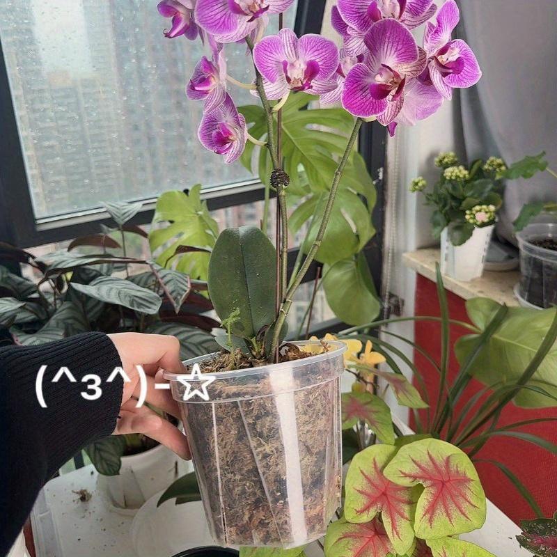ClearSprout - Transparent Plant Pots with Drainage for Healthy Growth & Root Monitoring 3