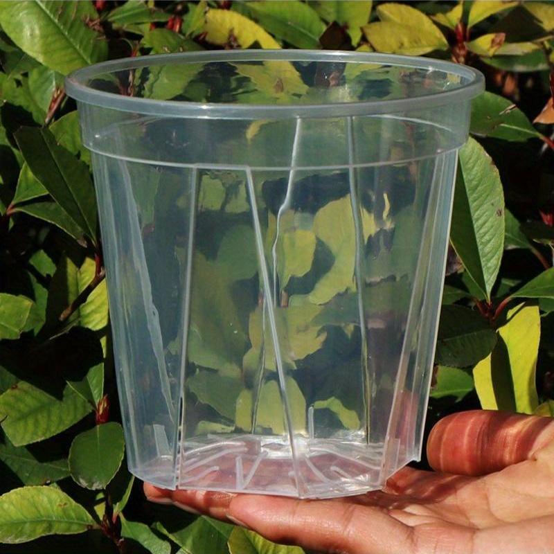 ClearSprout - Transparent Plant Pots with Drainage for Healthy Growth & Root Monitoring 4