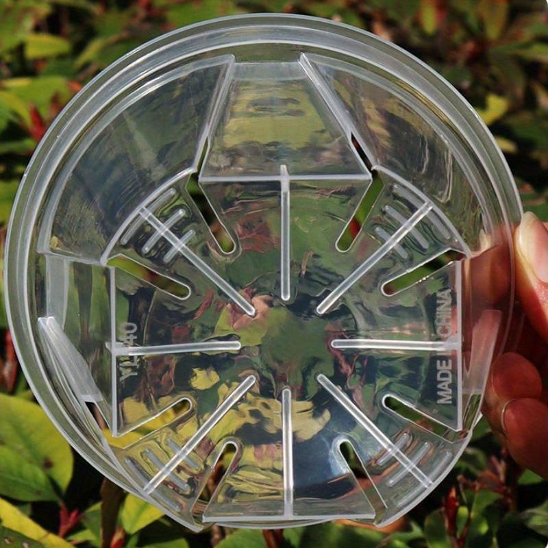 ClearSprout - Transparent Plant Pots with Drainage for Healthy Growth & Root Monitoring 5