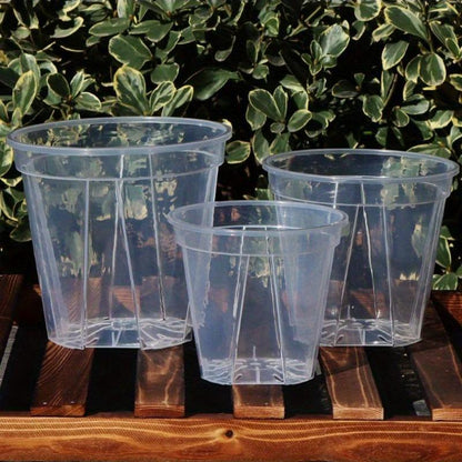 ClearSprout - Transparent Plant Pots with Drainage for Healthy Growth & Root Monitoring 6