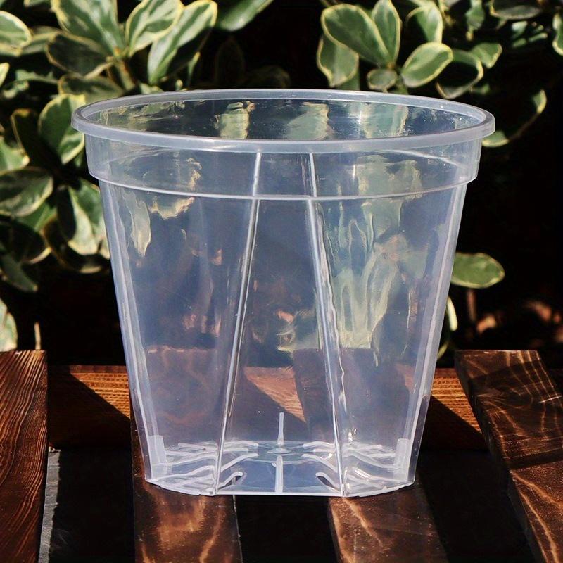 ClearSprout - Transparent Plant Pots with Drainage for Healthy Growth & Root Monitoring 7