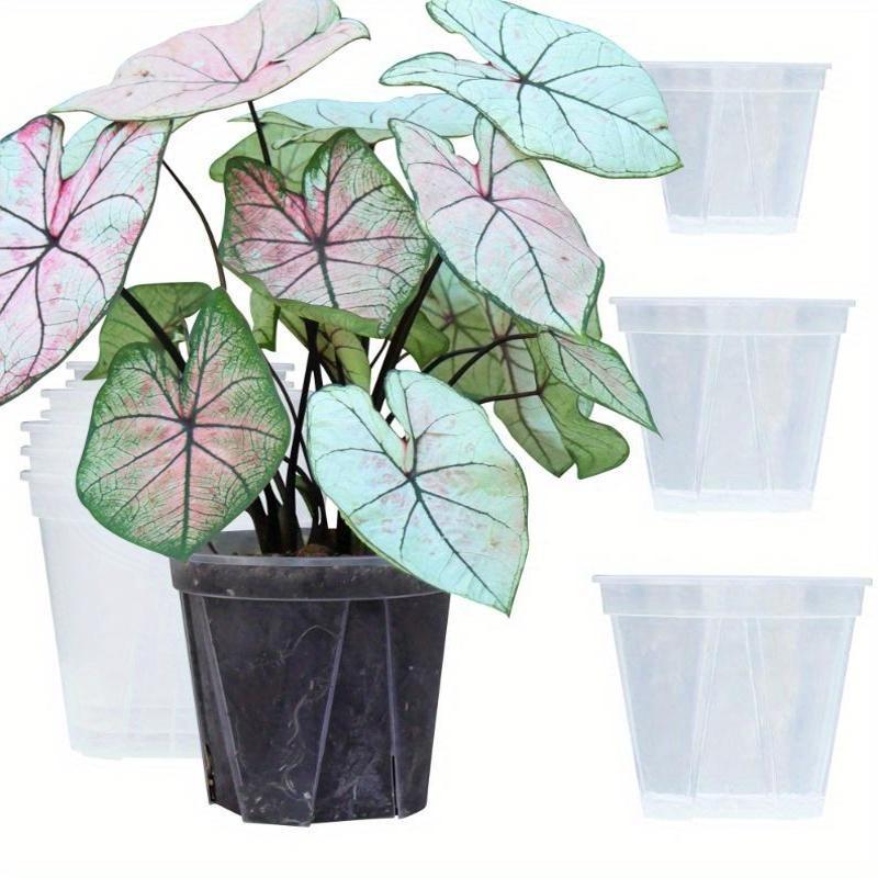 ClearSprout - Transparent Plant Pots with Drainage for Healthy Growth & Root Monitoring 8