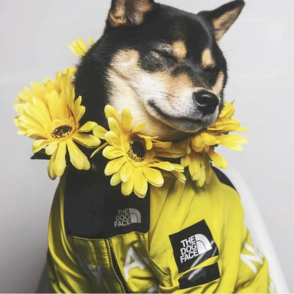 STORMPAWS – Protective Pet Jacket for Windy Outdoor Adventures