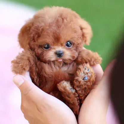 PAWSOME PAL – Interactive plush dog for playful cuddle fun