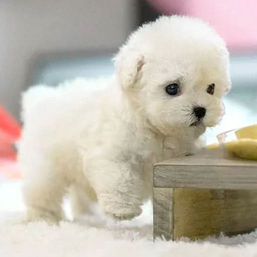 PAWSOME PAL – Interactive plush dog for playful cuddle fun