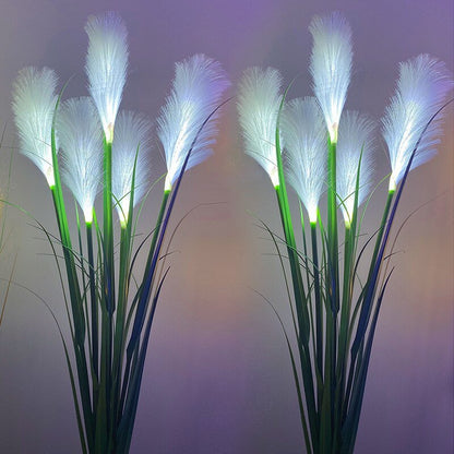 SOLARHAVEN – Weatherproof Solar Lights for Outdoor Decoration