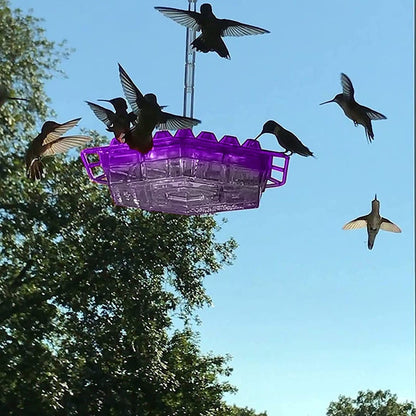 NectarHaven - Ant-Proof Hummingbird Feeder with 30 Flower-Inspired Ports 0