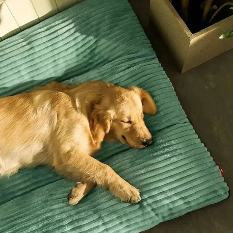 COZYNEST – Orthopedic dog bed with plush comfort for restful sleep