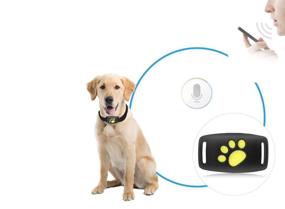 MEOWNAV – GPS Cat Tracker Collar for Real-Time Location Monitoring