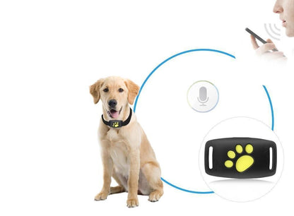 MEOWNAV – GPS Cat Tracker Collar for Real-Time Location Monitoring