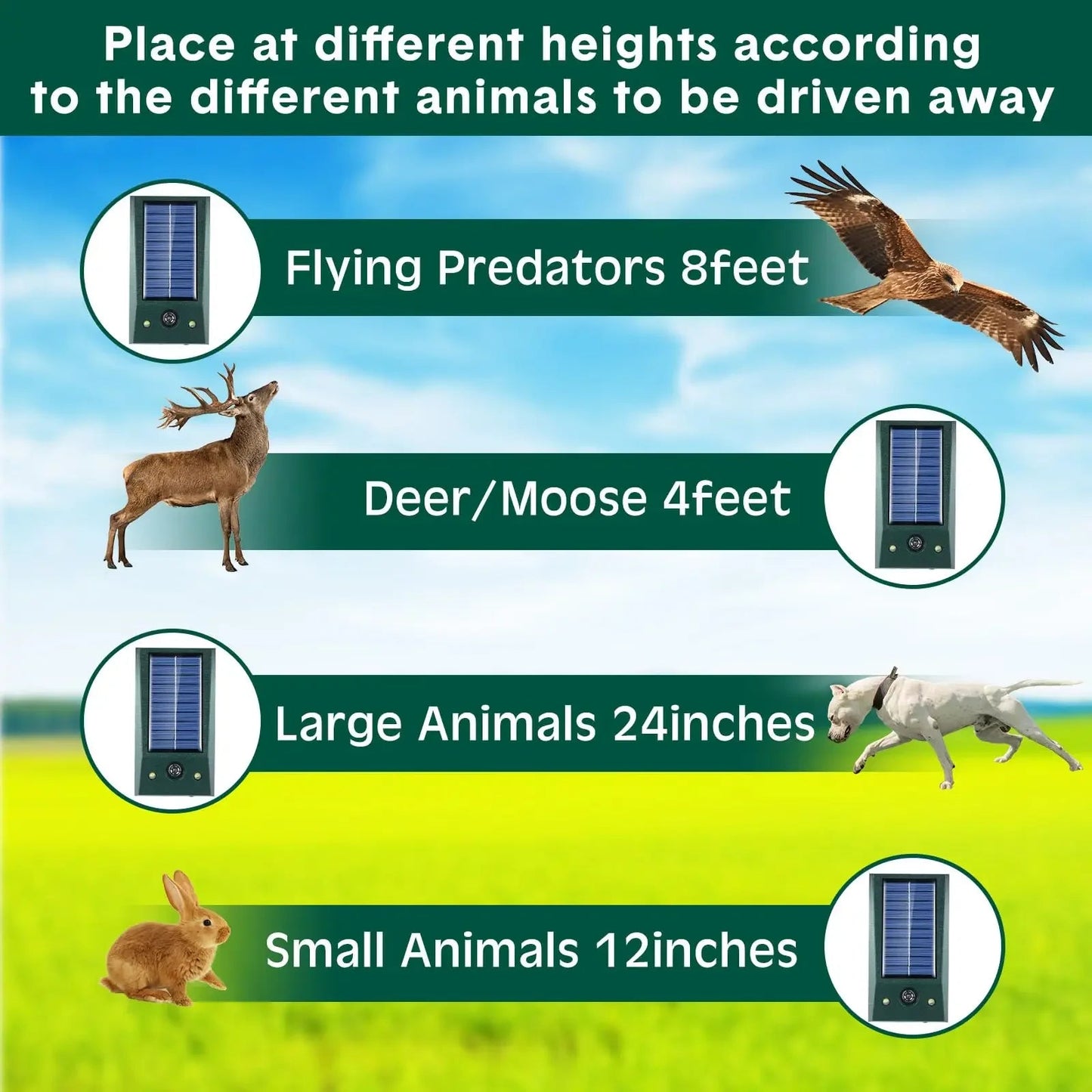 BIRDZONE – Solar Ultrasonic Motion-Detect Bird Repellent