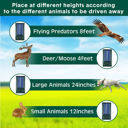 BIRDZONE – Solar Ultrasonic Motion-Detect Bird Repellent