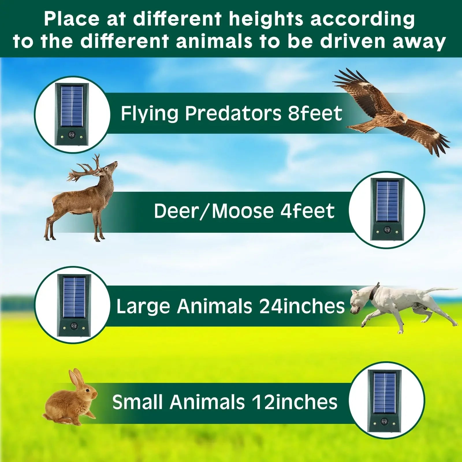 SonicGuard - Solar Ultrasonic Motion-Activated Bird Repellent & Pigeon Deterrent 1