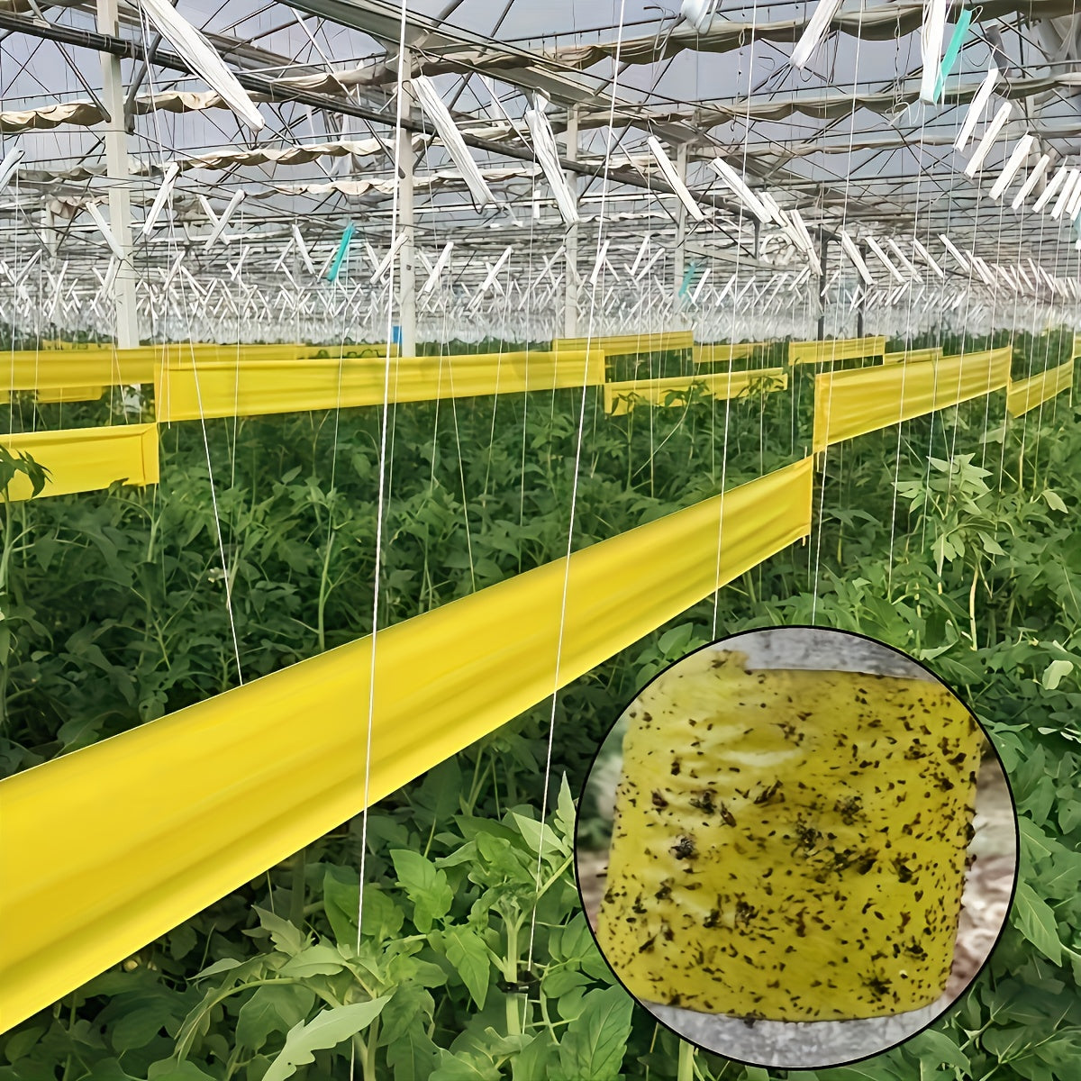 CROPSTRIP – Sticky Outdoor Insect Barrier Tape for Garden Pest Protection
