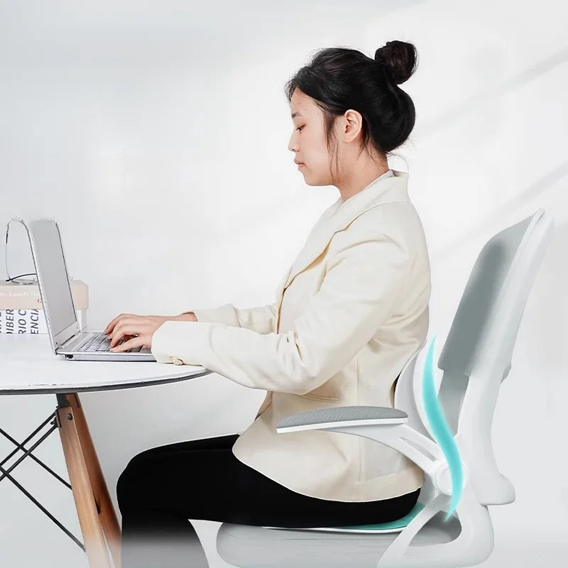 POSTUREPRO – Back Support Cushion for Office Chair Comfort