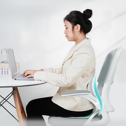 POSTUREPRO – Back Support Cushion for Office Chair Comfort