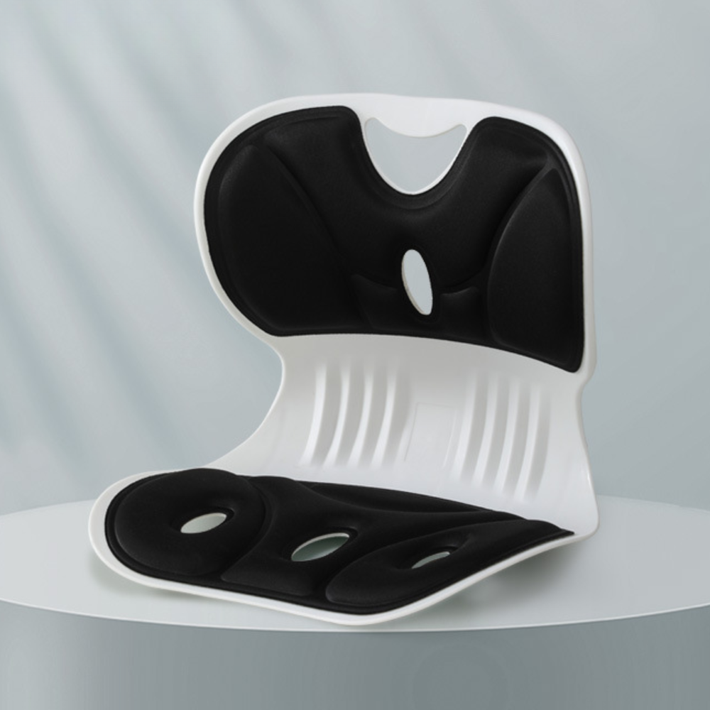 POSTUREPRO – Back Support Cushion for Office Chair Comfort