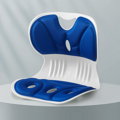 POSTUREPRO – Back Support Cushion for Office Chair Comfort