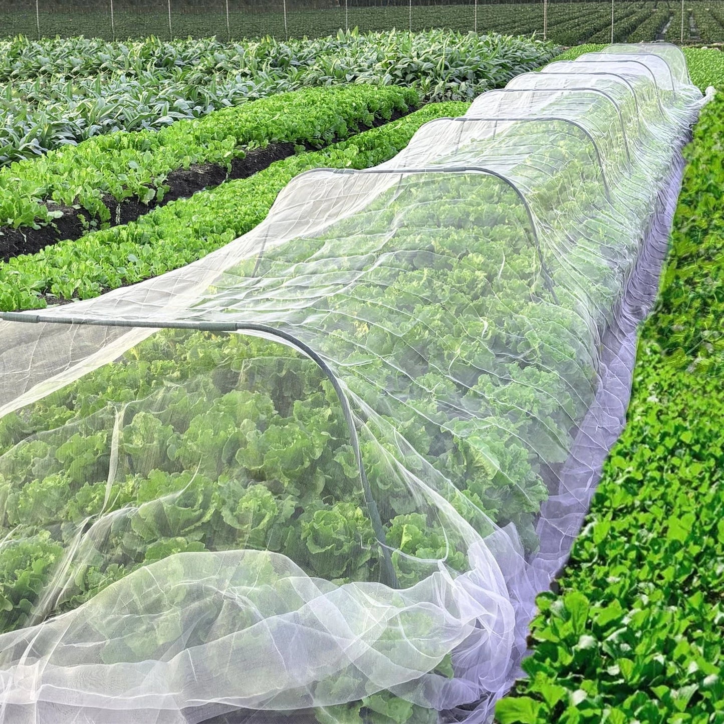 BugBarrier - HDPE Insect Net for Effective Pest Control & Plant Growth