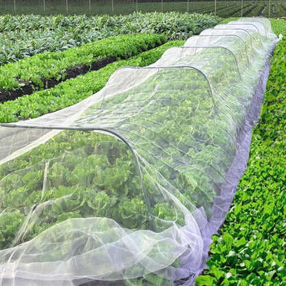 BugBarrier - HDPE Insect Net for Effective Pest Control & Plant Growth