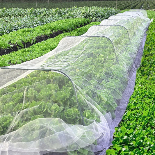 BugBarrier - HDPE Insect Net for Effective Pest Control & Plant Growth