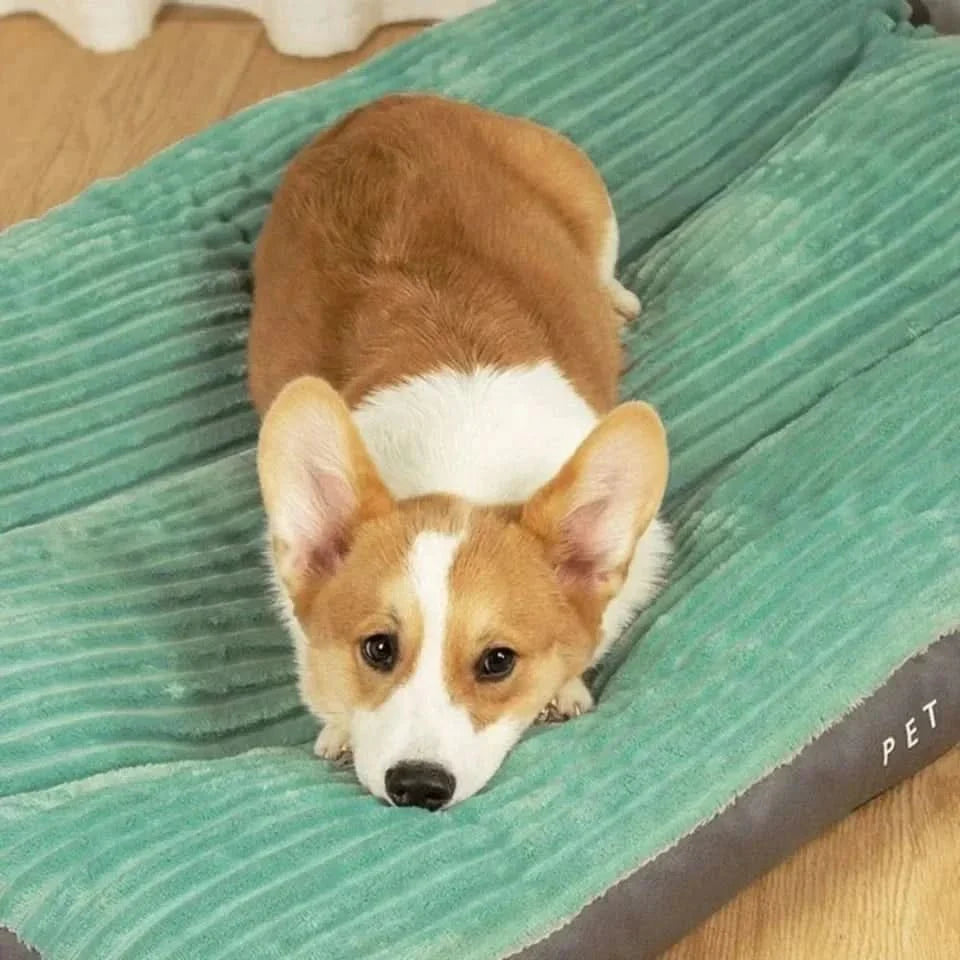 COZYNEST – Orthopedic dog bed with plush comfort for restful sleep